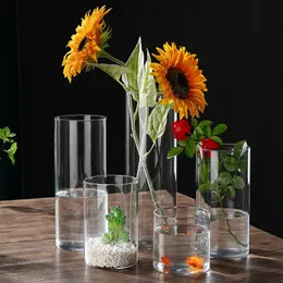 Vaso de vidro ecológico Tubo reto Vaso transparente vaso criativo High Borossilicate Paisagem Flor Ware decoração 240422