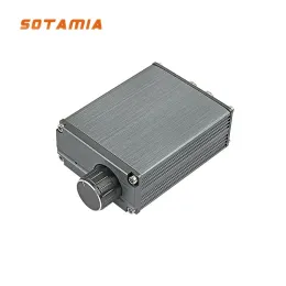 Wzmacniacze Sotamia 100W TPA3116D2 Power Mono Wzmacniacz płyta HiFi Subwoofer Board Digital Mini Amp DIY Smart Home Amplifificador