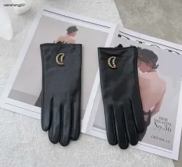 Handschuhe 23s