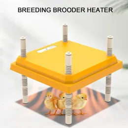 Accessori da 15 W Chick Heater Brooder Electric Gach Electric Riscaldamento Piatto di riscaldamento altezza regolabile e angolo per i pulcini