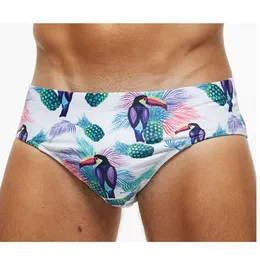 Mäns badkläder 2024 Ny randig papegoja Flamingo Mens Swimming Pants Anti Bland Triangle Shorts