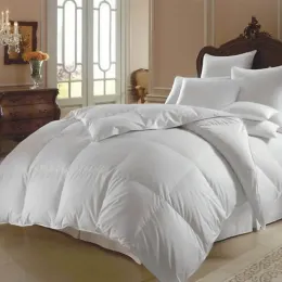 setzt King/Double/Einzelgröße 100% weißer Gans Down -Bettdecke für den Herbst Winter Bettdecke Einfügung Decke Federfeder Down Quilt Duvet