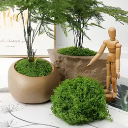 Decorative Flowers 30/50/100g Eternal Life Moss DIY Crafts Grass Artificial Green Plants Home Room Garden Decor Mini Landscape Fake