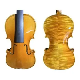 4/4 Cello European Wood Sleeping Beauty Model Great Grain Maple Fabulous Sound 00