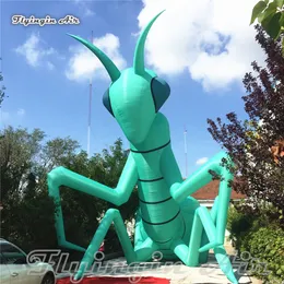 Gigante por atacado Green inflatável Mantis Balão Cartoon Animal Modelo de ar soprar