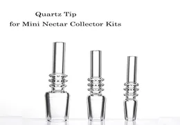 10mm 14mm 19mm Dica de quartzo para mini kits NC com clipes de plástico Keck quartz banger unhas quartzo dicas24866604