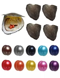 2021 AKOYA 67 mm okrągłe bliźniaki Pearl Odmiana dobra kolor Miłość życzę perłowe ostrygi słodkowodne indywidualnie próżniowe Pakiet mody 3313824