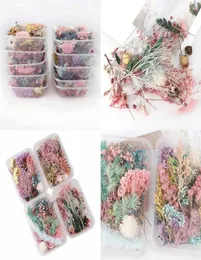 1 Box Real Dried Flower Dry Plants for Aromatherapy Candle Epoxy Harts Pendant Halsband smycken Making Craft Diy Accessories 1309 8793402