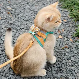 Cat Collars Leads Harness Leash for Chihuahuaアクセサリー犬用ベストパグリーシェウォーキングツールリード製品H240506