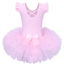 Bühnenbekleidung Baohulu Girls Ballet Tutu Tüll Kleid ärmellose Gymnastik Lotard Diamond Pink Bow Muster für Mädchen Ballerina