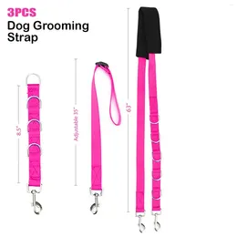 Collari per cani Pet The Rope Beauty Series Leash ha vagato per le forniture per la catena di parrucchiere