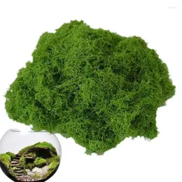 Decorative Flowers Artificial Fake Moss DIY 100g Breathable Colorfast For Making Aquariums Paintings