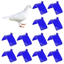 Perches 20pcs Голубь v Roost Perches рама Dove Rest Stand Blue Healling Bird
