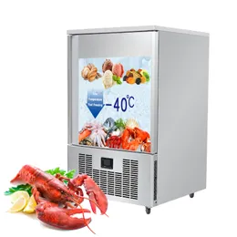 SPEDIZIONE GRATUITA Kolice Hard Ice Cream Pollo Pesce 10 vassoi Blast Freezer, Freezer per il torace, Equipaggiamento di refrigerazione