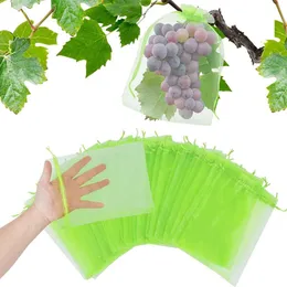 Coprite borse di protezione verde con cranetta per protezione protezione della mesh barriera parassita per manghi pomodori alberi da frutto verdure giardino