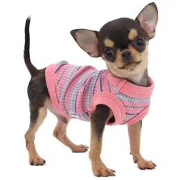 Summer Dog Vest Cat Puppy Apparel Yorkshire Terrier Pomeranian Shih Tzu Maltase Bichon pudle Schnauced Ubrania T-shirt Pink 240429