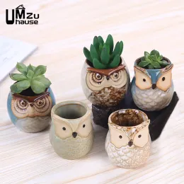 Decorações Mini Owl Flower Pote de flores fofo pássaro cerâmica Flowerpot Home Garden Office Decoração da vaso vaso de mesa suculenta plantas de cacto suculento plantadores