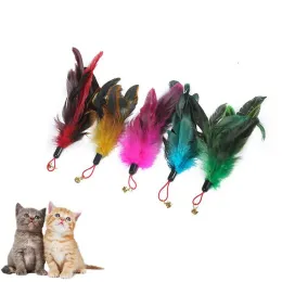 Toys 4Pcs Cat Teaser Wand Toys Kitten Teaser Bell Feather Replacement Head Metallic Foil Tassel Interactive Catcher Teaser