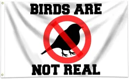 أعلام الطيور ليست علمًا حقيقيًا 3 × 5 أقدام لافتة مضحك ملصق مان كهف جدار العلم لغرفة النوم الكلية ، والخلع والحفلات