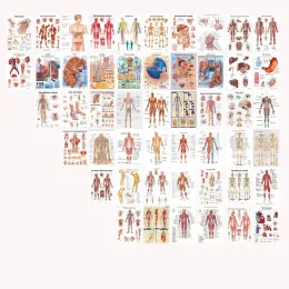 Adesivos 50pcs cartões postais de anatomia humana kit de colagem de fotos de fotos anatômicas imagens de corpo humano médico para educação decoração de escritório