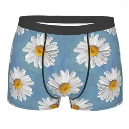 Underpants Blues Daisy Pattern On Cornflower Art Breathbale Panties Male Underwear Ventilate Shorts Boxer Briefs