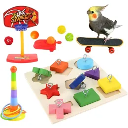 Toys Bird Training Toys Set Parrot Intelligence Игрушка красочный безопасный материал для Budgie Parakeet Cockatiel Mini Macaw 5 Sorts