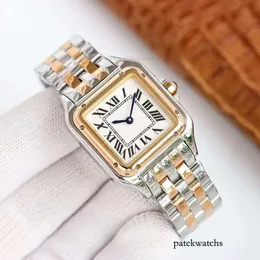 Designer Women Lady Quartz Fashion Classic Orologi Panthere Orologi 316L in acciaio inossidabile Brand Diamond Watch di alta qualità Sapphire Desi 607 674706042