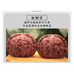 Miniatures Wenwan Walnuts Natural Handball Health Care Grip Ball Palm Massage Gadget Chinese Elderly Gift Good Match Pairing Special Variet