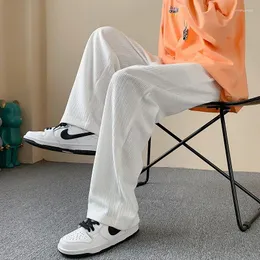 Erkek pantolon Kore moda kadife rahat beyaz gevşek düz geniş bacak 2024 Spring Street Sports 3xl