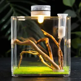 Dekor insekt hoppande spindel terrarium matningslåda reptil avelsbox transparent akryl ekologisk bur med LED -lampor landskapsarkitektur