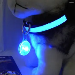 Tag del cane luminoso pendente per petatore gatto luminoso etichette accessori cucciolo cucciolo sera fuori sicurezza impedisci di perdersi per perdersi per