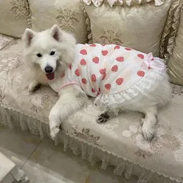 Одежда Big Pet Dog Summer Bargy Dress Юбка Corgi Shiba Inu Samoyed Husky Labrador Golden Retriever Costume Apparel 240429