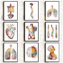 Home Human Anatomy Muscles System Wall Art Canvas Painting Posters And Prints Body Map Wall Pictures Education Decor 240506