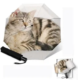 Umbrellas Tabby Cat Stampato completamente automatico Sunny Rainy Parasol Antiuv Uombrellone for Women Fashion Creative 3 pieghevole parapluie3191450