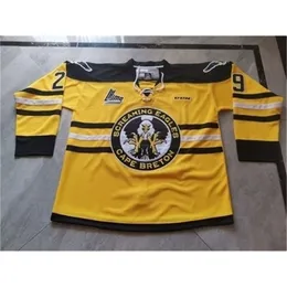 37403740Custom Men Młodzież Kobiety Vintage Chl Cape Breton Screaming Eagles Alternate #29 Marc-Andre Fleury Gold Hockey Size S-5xl 279a