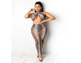 Fashion Skinny Two Piece Sets Women Leopard Two Piece Dress Sexy See Through Halter Crop Tops 2pcs2745294