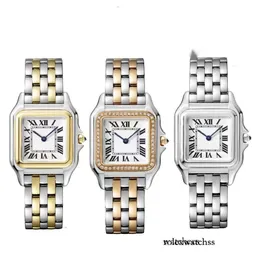 Designer Elegant Fashionable Men's and Women's Watches Stainless Steel Strap Imported Quartz Movement Waterproof Mens Wat 1 17 4448421