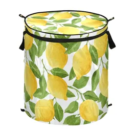 طباعة الليمون منبثقة المنبثقة العائق سلة ملابس قابلة للطي قابلة للطي مع سلة سحاب مقاومة للماء مربع تخزين سعة كبير 240506