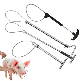 Aksesuarlar 1 PCS Kablolu Pig Lasso Baoding Domuz Kafa Kapatma Pig Cihaz Domuz Ekipmanı Uygun Güvenlik Bakır Tutar