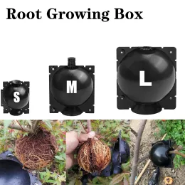 Lock 10st Tree Root Growing Box återanvändbar rotande kultransplantation Verktyg Asexual Reproduktionsenhet Högtryck Förökning Bollbox