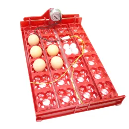 Accessories DIY 96 Eggs Bird Incubator Egg Rack Tray automatic 24 Egg Incubator Quail Parrot Incubation Tool Size 43 * 28 cm