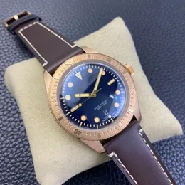 Bronze watch diameter 42 mm with Swiss SW200 movement one way rotating diving ring sapphire crystal glass mirror
