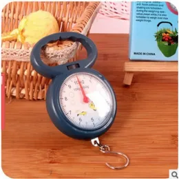 NEW NEW NEW Portable Mini Pointer Hook Hanging Weighing Scales Weighing Scales for Fishingportable hanging scaleportable hanging scale