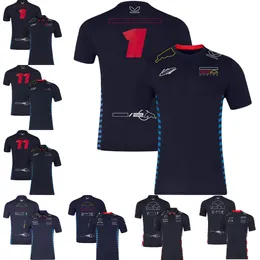 2024 Neue F1-Fahrer Polo-Shirts T-Shirt Formel 1 Team Racing Fans T-Shirts Sommer Schnellrohr-Jersey Männer Frauen T-Shirt Plus Size