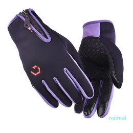 Outdoor autumn and winter warm gloves men's touch screen motorcycle riding skiing mountaineering windproof and cold resistant gloves women's fleece glove