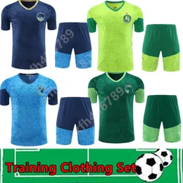 Spelarfans 24 25 Palmeiras Soccer Jerseys2024 2025 Endrick Rony Dudu G.Gomez R.Veiga Menino Piquerez Cerqueira Breno Ze Rafael Training Set Shirt S-XXL