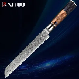 Damascus Bread Knife 8 -calowy ostry ząbkowany nóż, Damascus Steel Blade Koman Kiten Kiten Exquite Ergonomics, idealny do obdarowania
