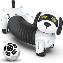 Kinder elektrisch/rc Programmable Roboter 24g Pet Remote Smart Child spricht drahtlose BEWGL -Steuerelektronische Hund für Spielzeugtiere intelligent Angk