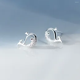 Studörhängen 925 Sterling Silver Small Fresh Diamonds Whale Ear Studs Girl Heart Utsökta Studentsmycken Girls Kids Lady Gift