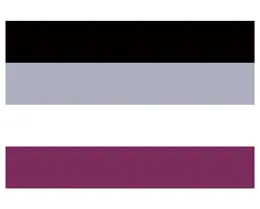 Polyester 90150cm LGBTQIA ACE Community Nonexuality Pride Asexuality Asexual Flag för dekoration8224028